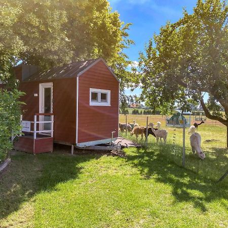 Вилла Tiny House Auf Der Alpaka Farm Rubkow Экстерьер фото