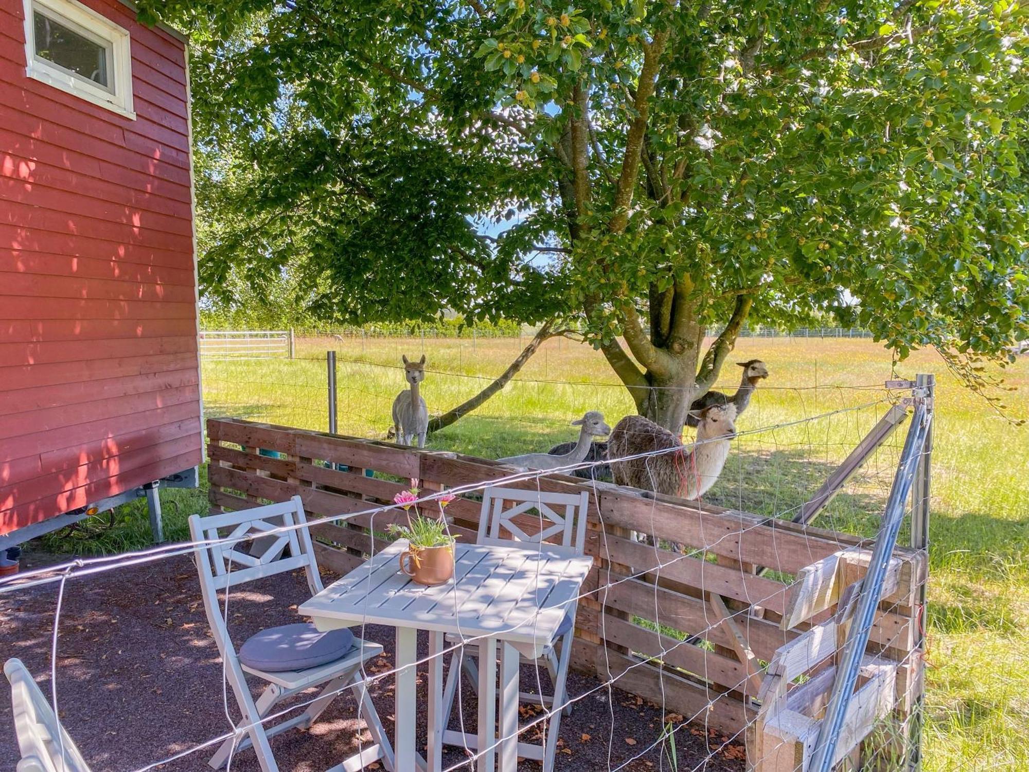 Вилла Tiny House Auf Der Alpaka Farm Rubkow Экстерьер фото