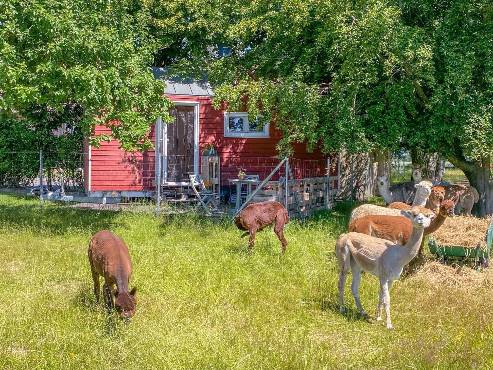 Вилла Tiny House Auf Der Alpaka Farm Rubkow Экстерьер фото